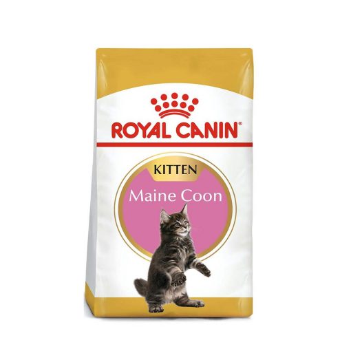 royal canin maine Coon