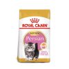 royal canin persian kitten